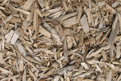 biomass boilers Neopardy